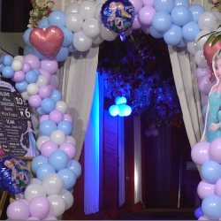 Frozen Theme Decoration