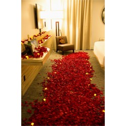 Romantic First Night Decoration