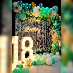 Sequin Panel With Green Balloons