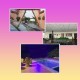 Holi Mela In Farm House (Holi Party ) On 27th March 2021 (Per Person) Holi Mela In Farm House (Holi Party ) On 27th March 2021 (Per Person)